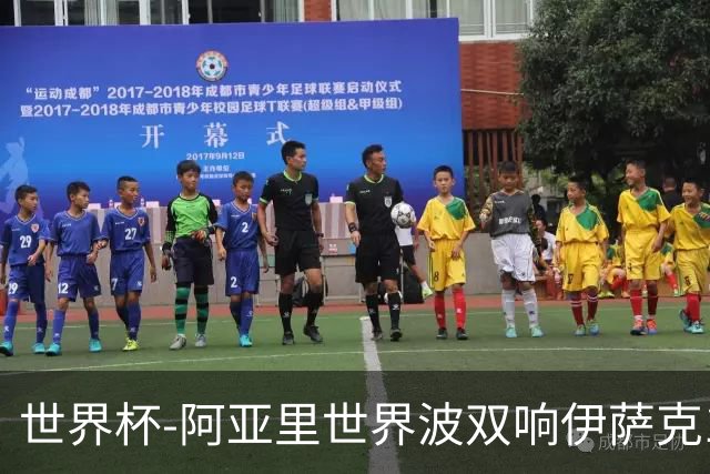世界杯-阿亚里世界波双响伊萨克1射2传 瑞典5-1突尼斯
